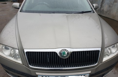 Skoda OCTAVIA MK2 Bonnet F8H Beige