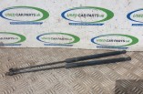 BMW 1 Series F20 Tailgate Boot Gas Struts 2011-2015 8135620455N