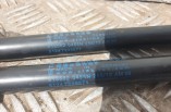 BMW 1 Series F20 Tailgate Boot Gas Struts 2011-2015 8135620455N part