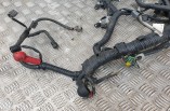 Nissan Qashqai 1 6 petrol engine wiring