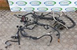 Nissan Qashqai 1.6 engine wiring loom harness HR16DE Manual