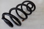 Nissan Qashqai DCI coil spring rear