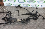 Peugeot 208 1 2 petrol 3 cylinder injector wiring loom