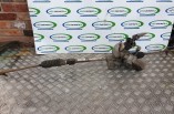 Suzuki Swift MK2 1 5 electric power steering rack pump motor 2005-2010
